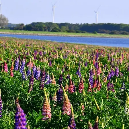 Lango Fjord Glamping Nr 1 럭셔리텐트 낙스코우